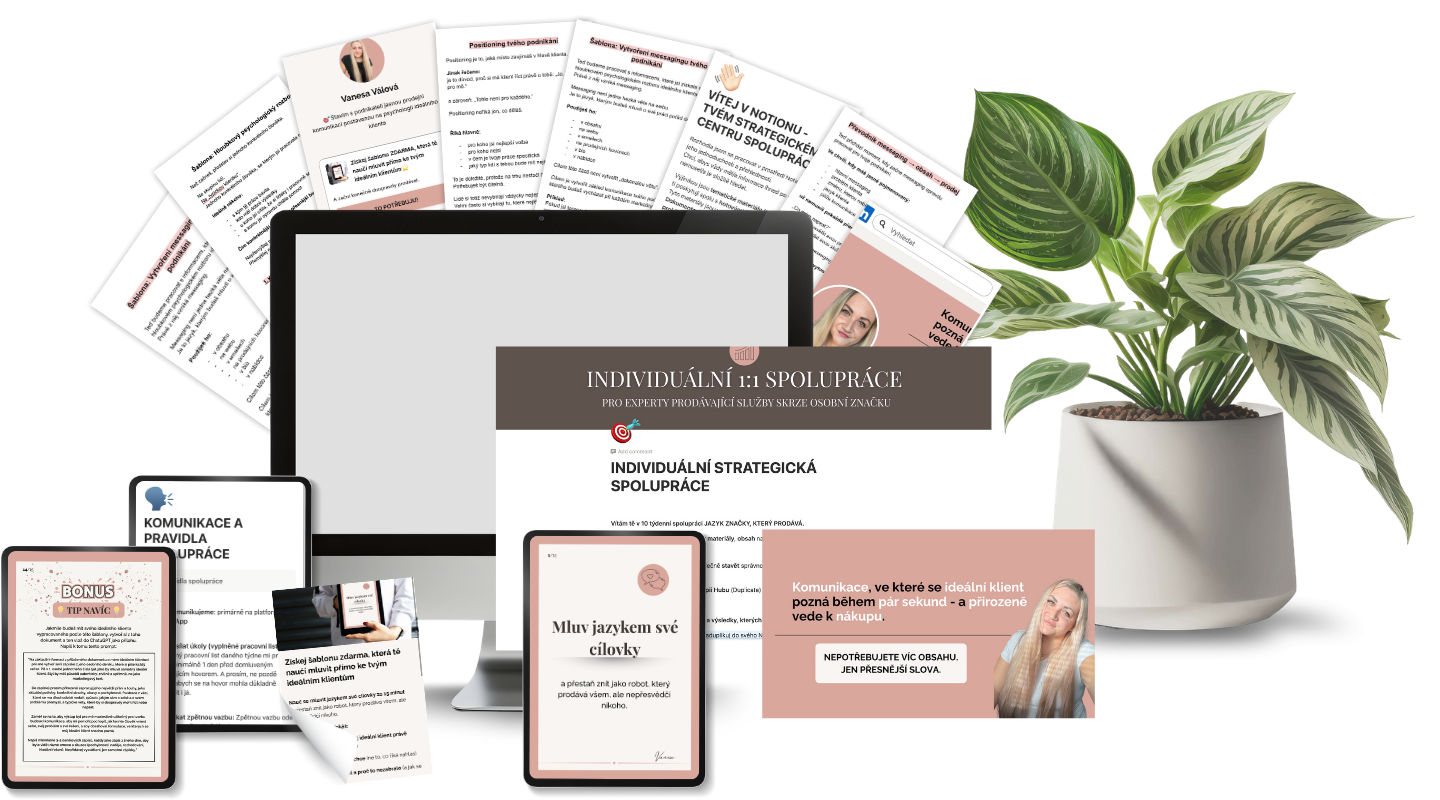 Individuální 1:1 spolupráce — přehled materiálů
